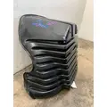 FREIGHTLINER Cascadia 125 Fender Extension thumbnail 2