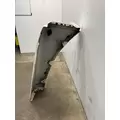 FREIGHTLINER Cascadia 125 Fender Extension thumbnail 3