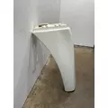 FREIGHTLINER Cascadia 125 Fender Extension thumbnail 4