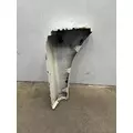 FREIGHTLINER Cascadia 125 Fender Extension thumbnail 6