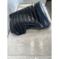FREIGHTLINER Cascadia 125 Fender Extension thumbnail 3