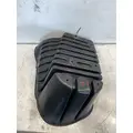 FREIGHTLINER Cascadia 125 Fender Extension thumbnail 4