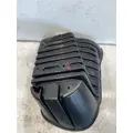 FREIGHTLINER Cascadia 125 Fender Extension thumbnail 4