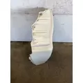 FREIGHTLINER Cascadia 125 Fender Extension thumbnail 5