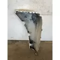 FREIGHTLINER Cascadia 125 Fender Extension thumbnail 6