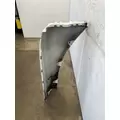 FREIGHTLINER Cascadia 125 Fender Extension thumbnail 3