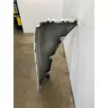 FREIGHTLINER Cascadia 125 Fender Extension thumbnail 4