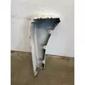 FREIGHTLINER Cascadia 125 Fender Extension thumbnail 6
