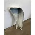 FREIGHTLINER Cascadia 125 Fender Extension thumbnail 5