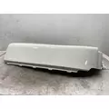 FREIGHTLINER Cascadia 125 Fender Extension thumbnail 2