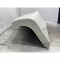 FREIGHTLINER Cascadia 125 Fender Extension thumbnail 4