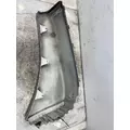 FREIGHTLINER Cascadia 125 Fender Extension thumbnail 6