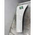 FREIGHTLINER Cascadia 125 Fender Extension thumbnail 1