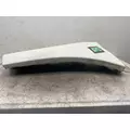 FREIGHTLINER Cascadia 125 Fender Extension thumbnail 2