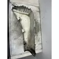 FREIGHTLINER Cascadia 125 Fender Extension thumbnail 6