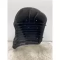 FREIGHTLINER Cascadia 125 Fender Extension thumbnail 7