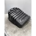FREIGHTLINER Cascadia 125 Fender Extension thumbnail 1
