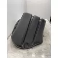 FREIGHTLINER Cascadia 125 Fender Extension thumbnail 4