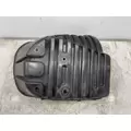 FREIGHTLINER Cascadia 125 Fender Extension thumbnail 5