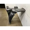 FREIGHTLINER Cascadia 125 Fender Extension thumbnail 4