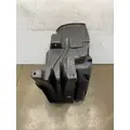 FREIGHTLINER Cascadia 125 Fender Extension thumbnail 6