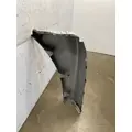 FREIGHTLINER Cascadia 125 Fender Extension thumbnail 4