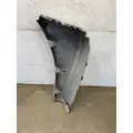 FREIGHTLINER Cascadia 125 Fender Extension thumbnail 6