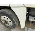 FREIGHTLINER Cascadia 125 Fender Extension thumbnail 1