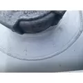 FREIGHTLINER Cascadia 125 Fuel Tank thumbnail 7