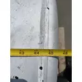 FREIGHTLINER Cascadia 125 Fuel Tank thumbnail 10