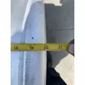 FREIGHTLINER Cascadia 125 Fuel Tank thumbnail 11