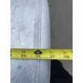 FREIGHTLINER Cascadia 125 Fuel Tank thumbnail 11