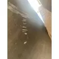 FREIGHTLINER Cascadia 125 Fuel Tank thumbnail 7