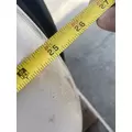 FREIGHTLINER Cascadia 125 Fuel Tank thumbnail 9