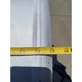 FREIGHTLINER Cascadia 125 Fuel Tank thumbnail 14