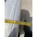 FREIGHTLINER Cascadia 125 Fuel Tank thumbnail 11