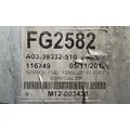 FREIGHTLINER Cascadia 125 Fuel Tank thumbnail 5