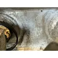 FREIGHTLINER Cascadia 125 Fuel Tank thumbnail 5