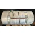 FREIGHTLINER Cascadia 125 Fuel Tank thumbnail 2
