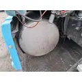 FREIGHTLINER Cascadia 125 Fuel Tank thumbnail 1