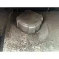 FREIGHTLINER Cascadia 125 Fuel Tank thumbnail 1