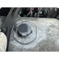 FREIGHTLINER Cascadia 125 Fuel Tank thumbnail 2