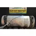 FREIGHTLINER Cascadia 125 Fuel Tank thumbnail 3