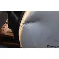 FREIGHTLINER Cascadia 125 Fuel Tank thumbnail 5