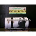 FREIGHTLINER Cascadia 125 Fuel Tank thumbnail 1