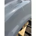 FREIGHTLINER Cascadia 125 Hood thumbnail 15