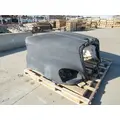 FREIGHTLINER Cascadia 125 Hood thumbnail 4