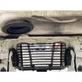 FREIGHTLINER Cascadia 125 Hood thumbnail 7