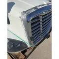 FREIGHTLINER Cascadia 125 Hood thumbnail 16