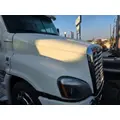 FREIGHTLINER Cascadia 125 Hood thumbnail 2